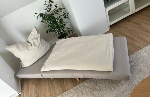 55m2 Chemnitz Rabenstein Kids Welcome, Wifi, Privater Parkplatz, Waschmaschine, Babybett, Klimaanlage - Foto 7