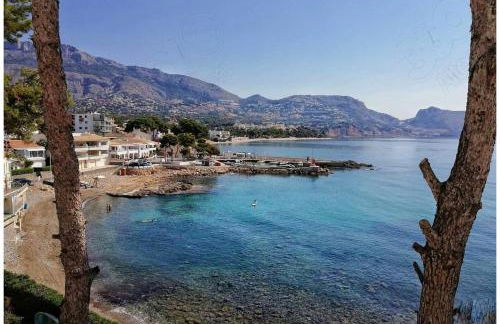 Altea Flying Whale - Photo 30