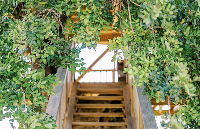 Conversas de Alpendre - Foto 51