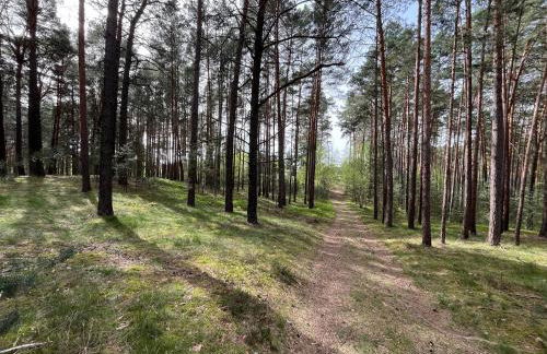 Ferienhaus Fjola - Photo 28