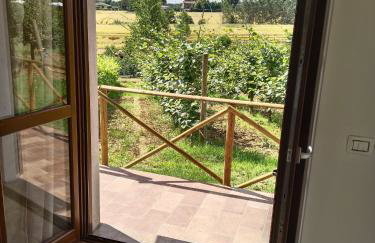 Agriturismo Consalvi - Foto 3