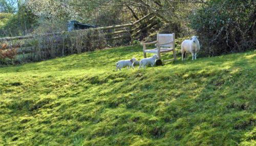 2 Bed in Crickhowell oc-42920 - Foto 3, Other