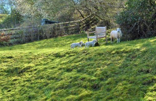 2 Bed in Crickhowell oc-42920 - Foto 3