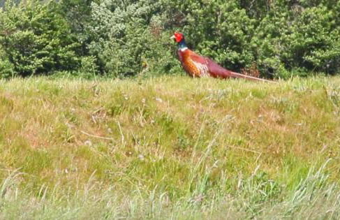 Romantic Rural Break In Countryside Castle Grounds Private Retreat Wizards Rest - Foto 20