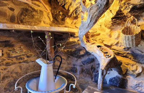 Cardenha das Formiguinhas - Foto 50