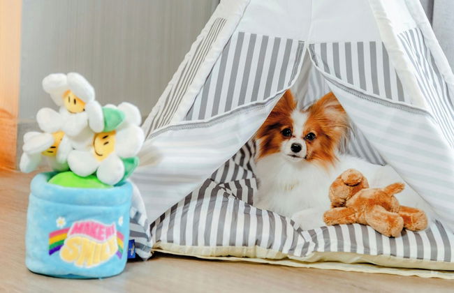 Marriott Executive Apartments, Bangkok Townhall Sukhumvit - Foto 66