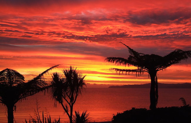 Adrift In Golden Bay - Foto 26