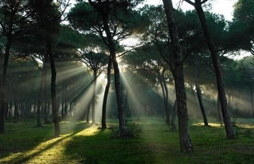 DescubreHome La Casa del Medico - Foto 25