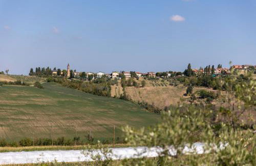 Bio Fattoria Mula D'Oro - biofattoriamuladoro it - Organic Food, Nature & Relax - Foto 3