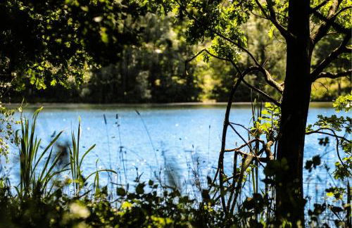 Ferienwohnung "Helden" - Foto 15