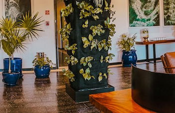 Flamboyan Hotel & Residences - Foto 2