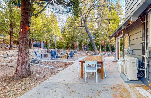 Saint Bernard Beauty - Foto 24