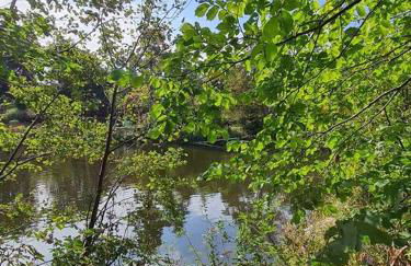 Georgia Lodge - Foto 8