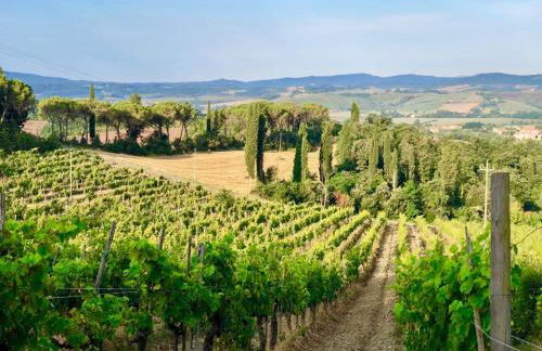 Agriturismo Pieve Sprenna - Foto 71