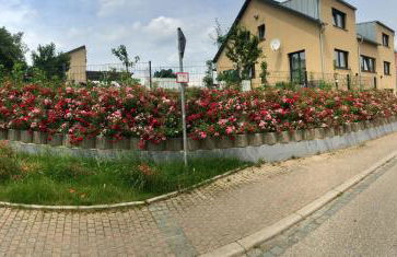 Valley ferienwohnung SÜW - Foto 17