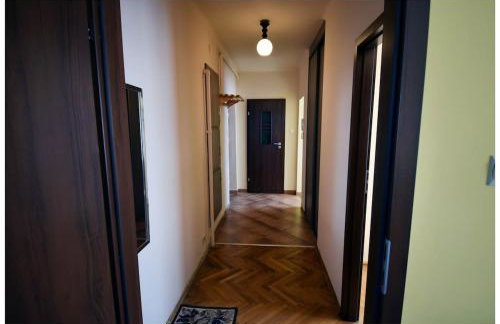 Color 24 - Złoty Punkt - Foto 4