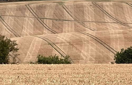 Grants Cottage, Brackley - Foto 20