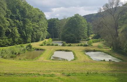 Pulgersmühle - Foto 11