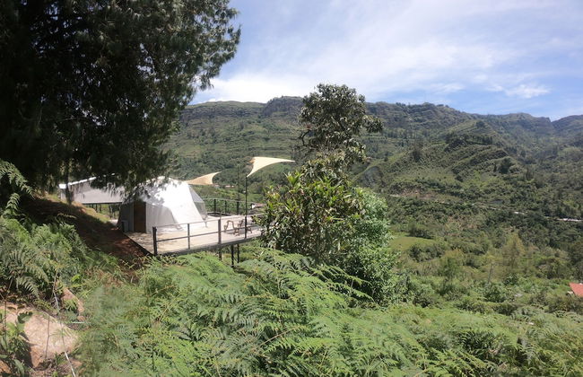 Glamping Villa Transito - Photo 7