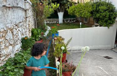 BIO Garden Stonehouse - Foto 40