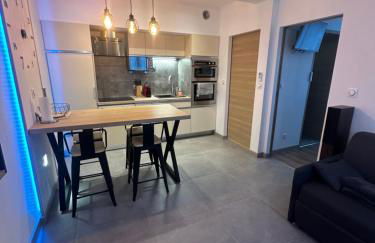 Magnifique T2 Meyzieu neuf charme et élégance - Foto 4