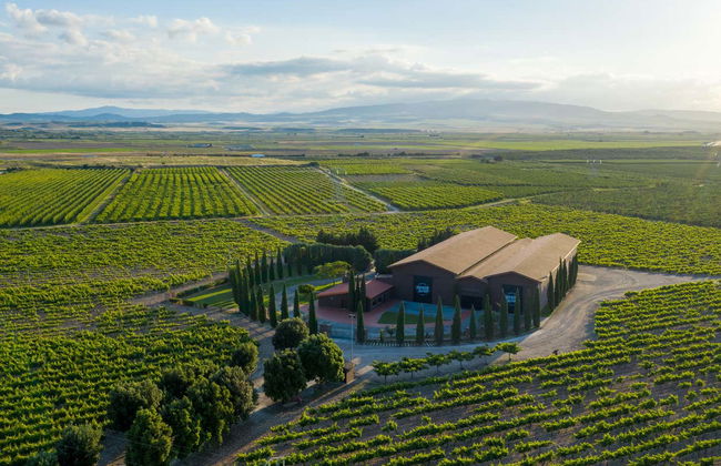 Visita di Vinos Heraclio Alfaro - Foto 1