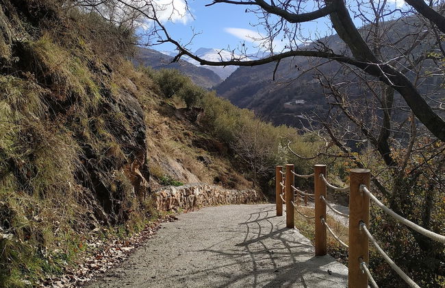 Casa Rural Arroyo de la Greda - Photo 34