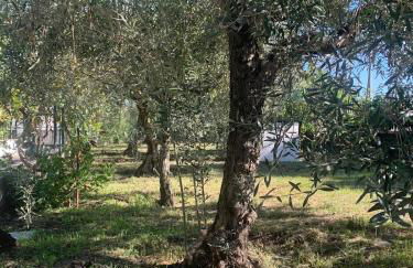 Casa dei Gigli relax and vacation among flowers and fruits - Foto 11