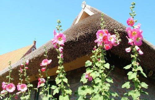 Hexenhaus auf Rügen - Foto 20