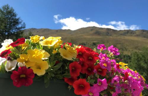 Residence Dilitz - Foto 28