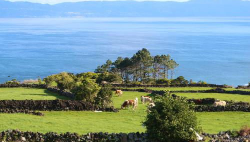 Pike Cliffs I - Photo 2