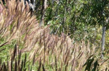 The most breathtaking Lake and Mountain View - Foto 71