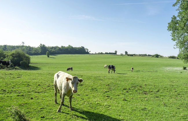 Holiday Home Cerfontaine by Lake & Forest - Foto 40