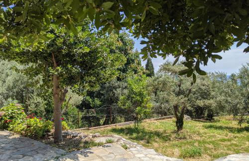 Daria's home at Pelion - Foto 128