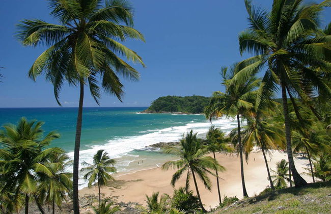 Day Trip to Itacaré - Photo 6