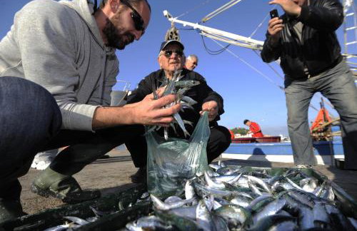 Apartman Iskra 2 - Foto 50