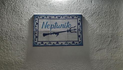 NEPTUNITO: Primera línea con Piscina - Foto 5