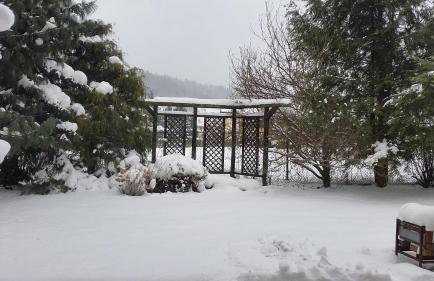 Świnna - Brzozowy Zagajnik - Foto 43