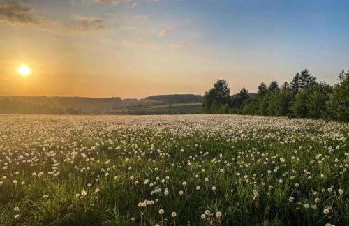 Tranquil Stay in Dornthal - Foto 60