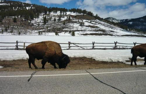 Cozy Immaculate Cabin - Peaceful Retreat! - Foto 22