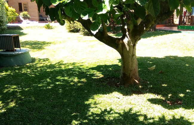 Cabañas Araticu - Foto 33