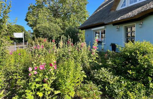 Reethaus Vilmnitz - Ferienwohnung Goor - Foto 58