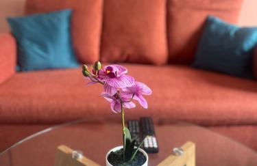 Boulevard du Roi René - Foto 1