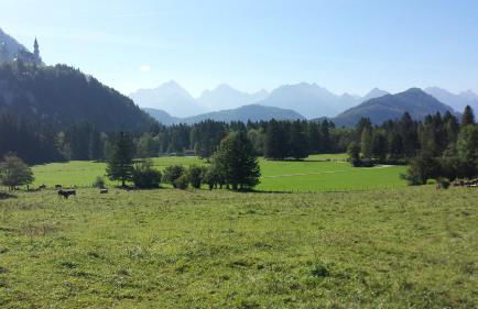 Ferienwohnung Vormann - Foto 33