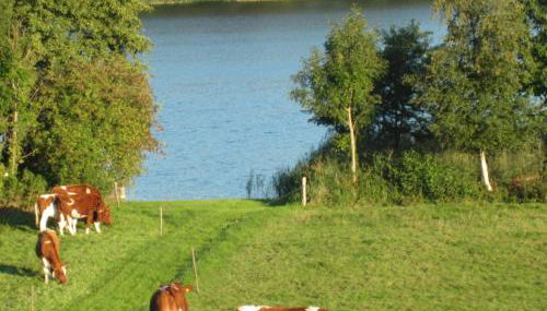 FeWo am Pohlsee - Foto 3