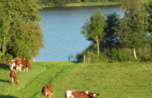 FeWo am Pohlsee - Foto 3