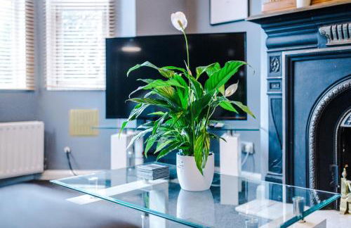 Spacious Modern Chester Home - Great Location - Photo 69