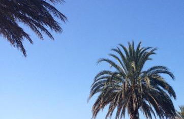 Studio Hesperides 3eme étage - Foto 5