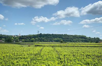 Casa Ricamadora - Foto 22