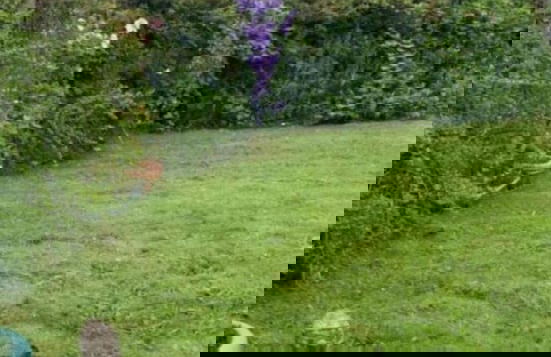 Townhouse Wexford - Private Garden - Foto 32